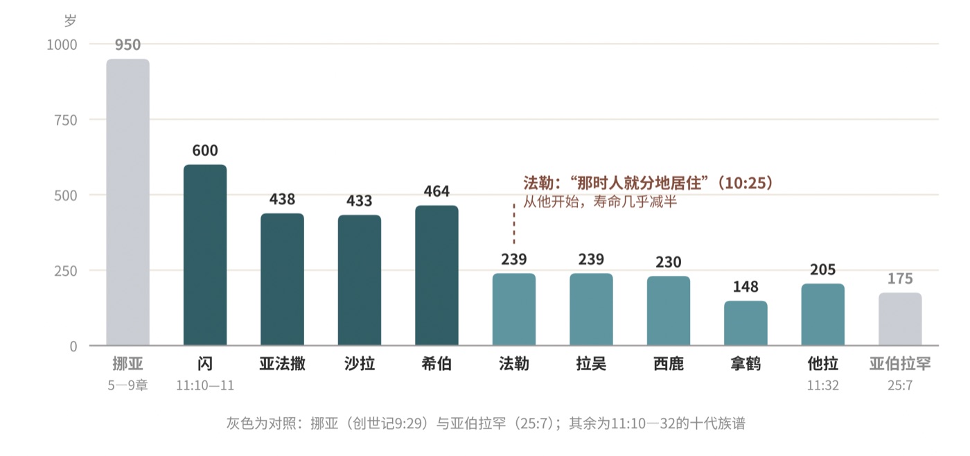 图四 从挪亚到亚伯拉罕:寿命的台阶
