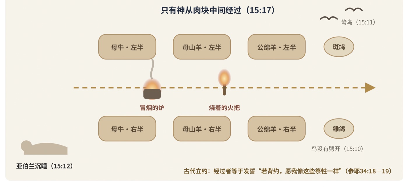 图七 劈开的祭牲:立约仪式示意