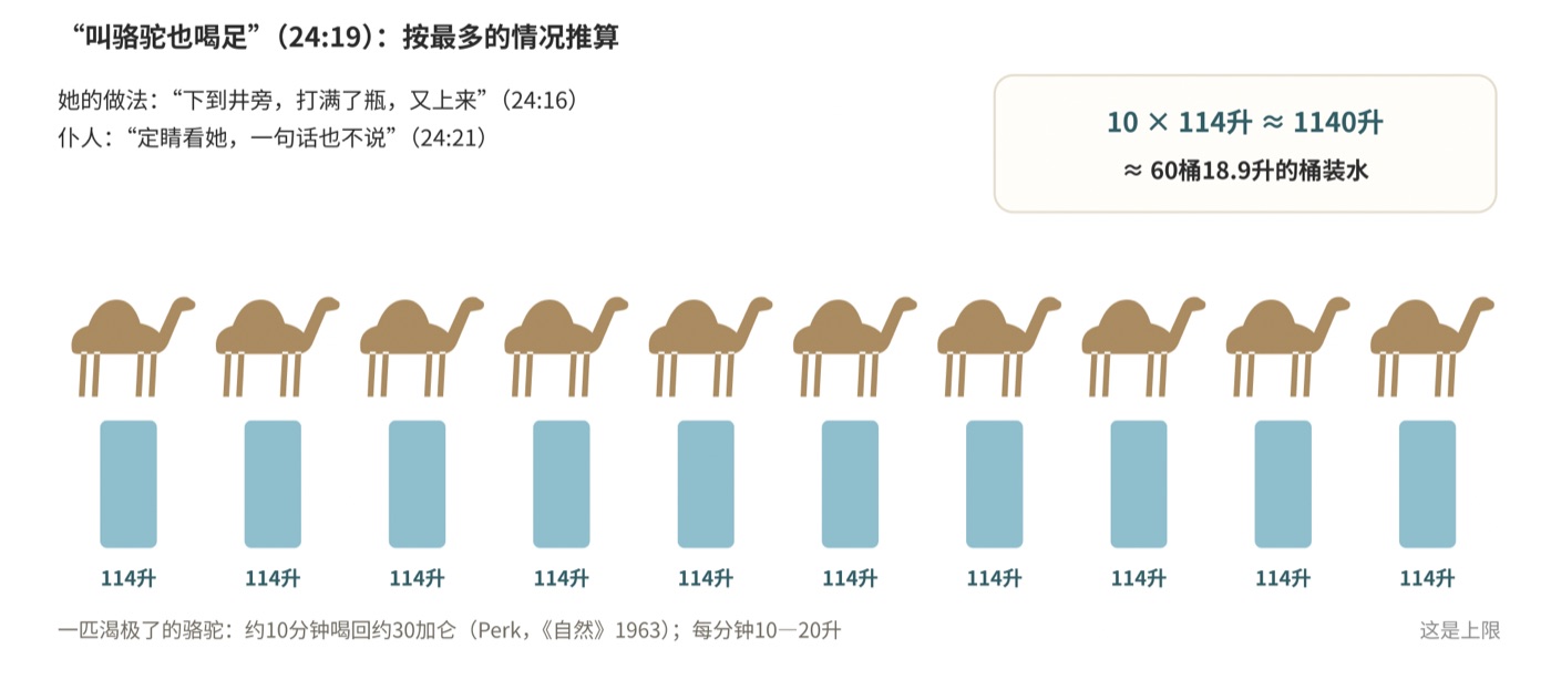图五 十匹骆驼喝得了多少水:按最多的情况推算