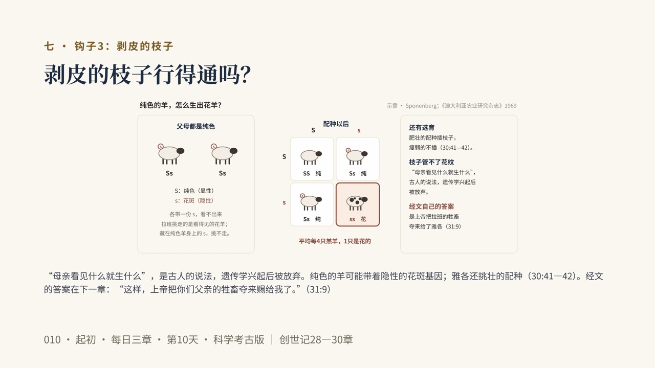 图说第19页